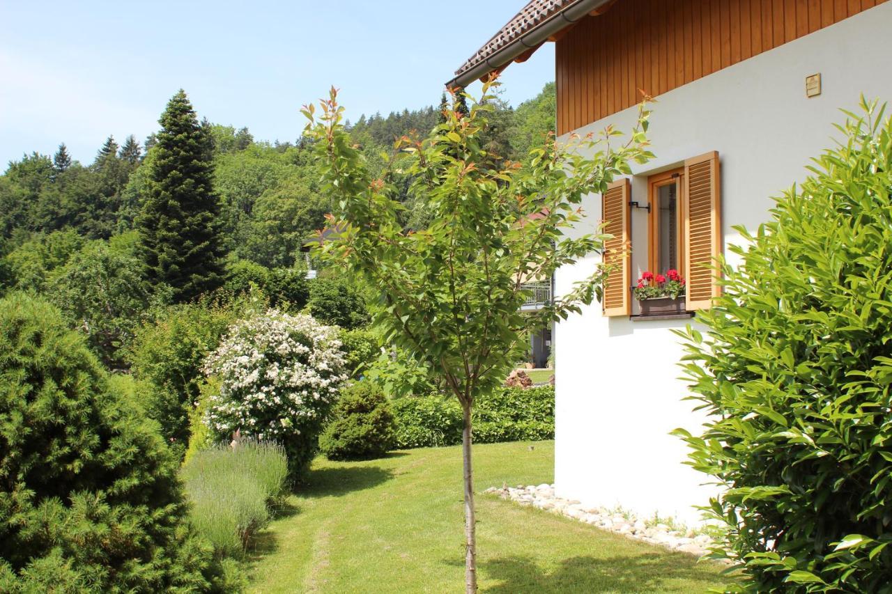 Ferienhaus Familie Zimmermann 滨湖科伊查赫 外观 照片